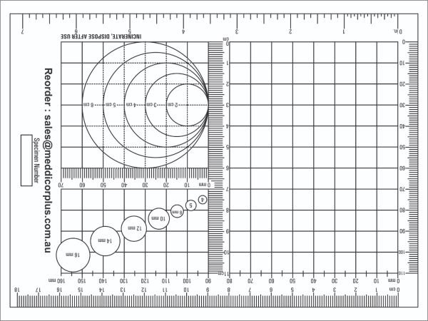 Disposable Dissection Board 9x12 Disposable Dissection Board