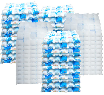 Techni Dry Ice Packs- 100 Techni Ice 